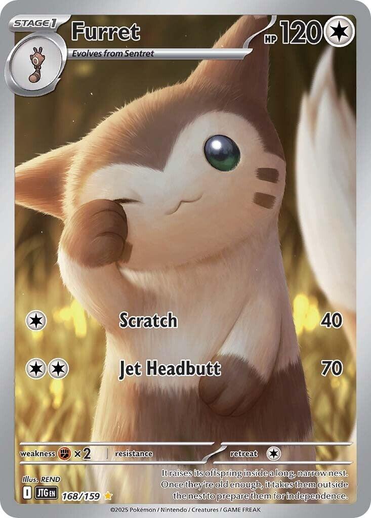 Pokemon TCG: Furret - 168/159 [JTG - 168/159]